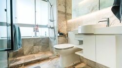 Zenith (D10), Apartment #504536591